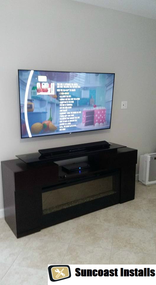 LED TV Installation Pinellas