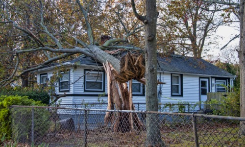 Cut tree off of house