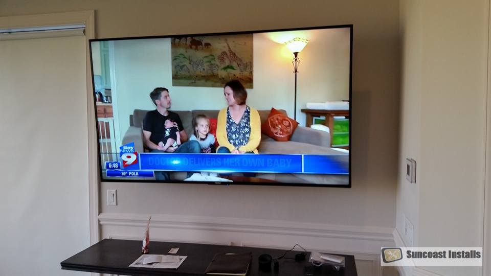 Florida tv installation